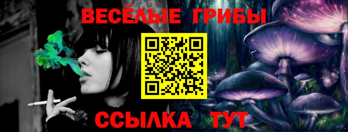 купить  сайты  Вход с VPN  Кириши  Галлюциногенные грибы GOLDEN TEACHER 